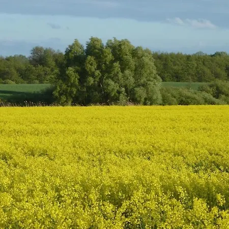 In Wiek With 1 Vakantiehuis